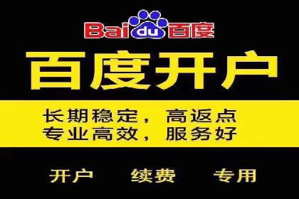 电商行业SEM运营的挑战与成功案例